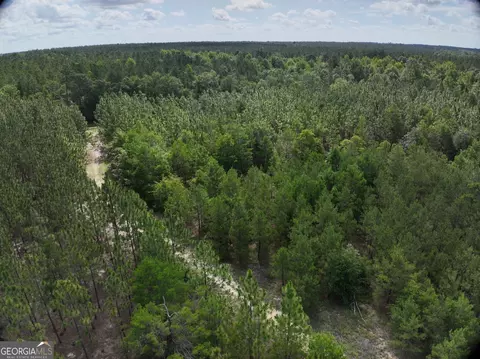 0 Drew Bennett Rd, Midville, GA 30441