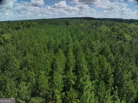 0 Payton Rd, Garfield, GA 30425