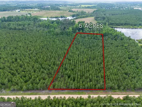 Tract 8 Sanderling Road, Alma, GA 31510