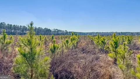 0 Highway 301 #3, Statesboro, GA 30461