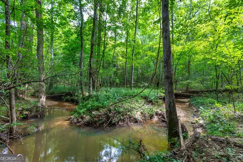 1 John Lovelace Road, Lagrange, GA 30241 photo 30
