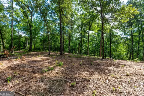 1 John Lovelace Road, Lagrange, GA 30241 photo 27