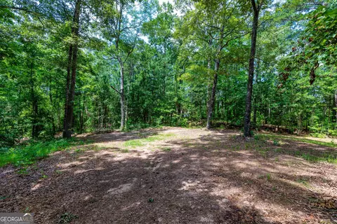 1 John Lovelace Road, Lagrange, GA 30241 photo 19
