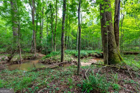 1 John Lovelace Road, Lagrange, GA 30241 photo 29