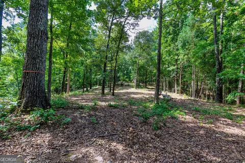 1 John Lovelace Road, Lagrange, GA 30241 photo 28