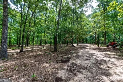1 John Lovelace Road, Lagrange, GA 30241 photo 22