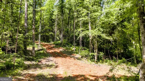 1 John Lovelace Road, Lagrange, GA 30241 photo 48