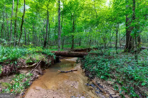 1 John Lovelace Road, Lagrange, GA 30241 photo 31