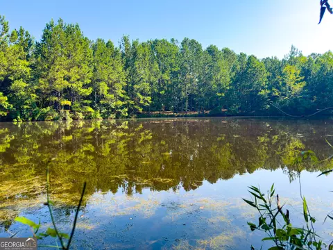0 Adabelle Rd, Register, GA 30452 photo 9
