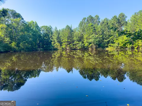 0 Adabelle Rd, Register, GA 30452 photo 11