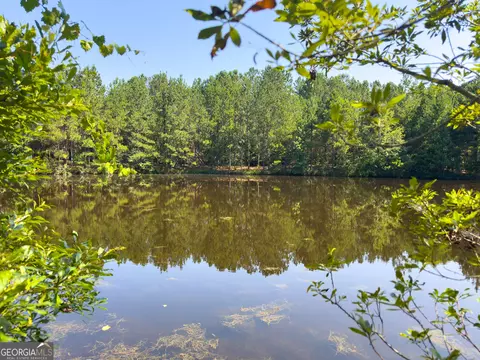0 Adabelle Rd, Register, GA 30452 photo 20