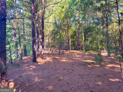 0 Adabelle Rd, Register, GA 30452 photo 13