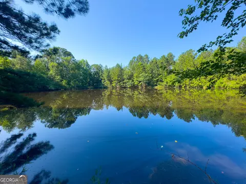 0 Adabelle Rd, Register, GA 30452 photo 12