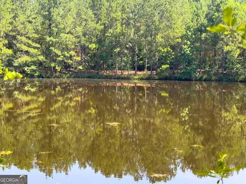 0 Adabelle Rd, Register, GA 30452 photo 19