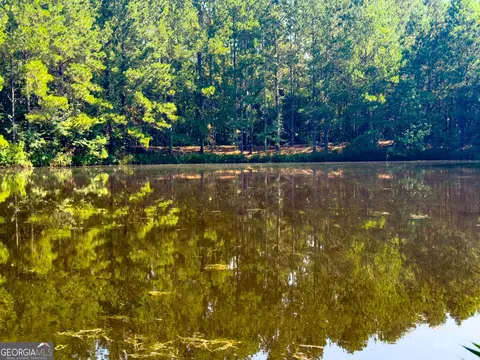 0 Adabelle Rd, Register, GA 30452 photo 10