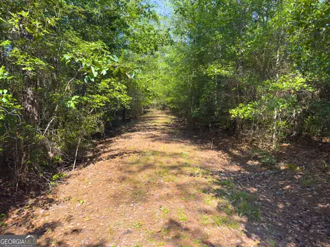 0 Adabelle Rd, Register, GA 30452 photo 16