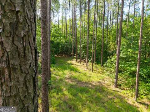 0 Adabelle Rd, Register, GA 30452 photo 2