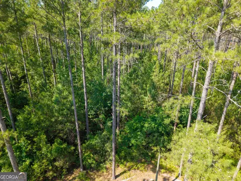 0 Adabelle Rd, Register, GA 30452 photo 3