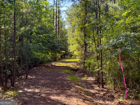 0 Adabelle Rd, Register, GA 30452 photo 6