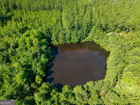 0 Adabelle Rd, Register, GA 30452 photo 4