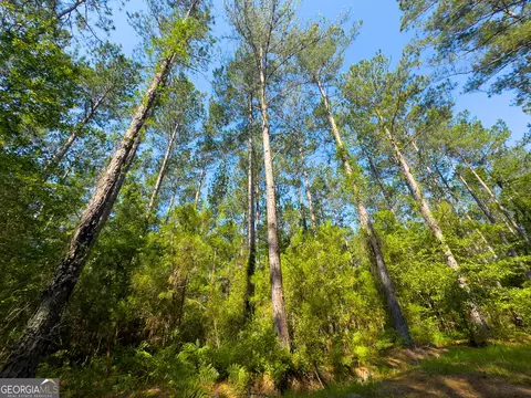 0 Adabelle Rd, Register, GA 30452 photo 7