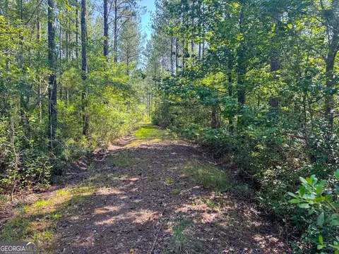 0 Adabelle Rd, Register, GA 30452 photo 14