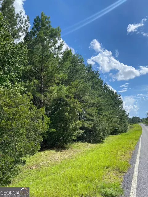 154 Fortner Bobby Rd, Kite, GA 31049