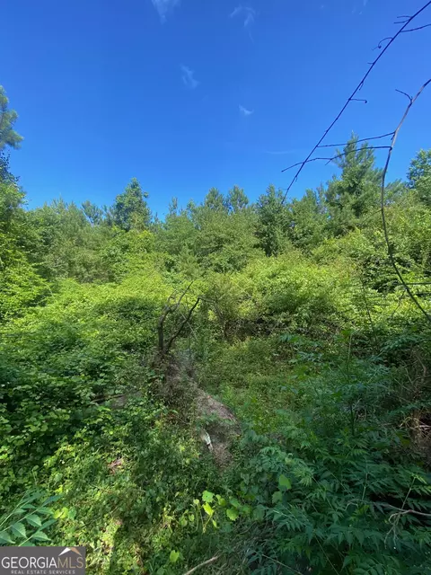 154 Fortner Bobby Rd, Kite, GA 31049 photo 6