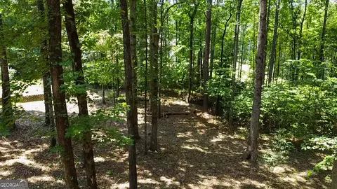 Exterior - 50 Laralee Ln, Hampton, GA 30228 photo 3 of 5