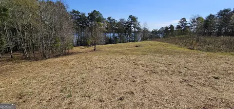 1006 N Edgewater Trl, Toccoa, GA 30577 photo 6