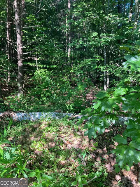 0 Grant Mill Rd, Alto, GA 30510