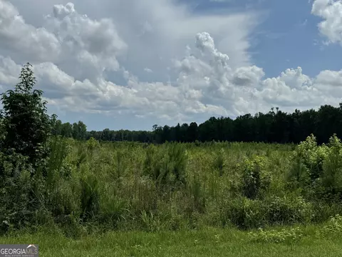 3854 Us Hwy 19, Meansville, GA 30256
