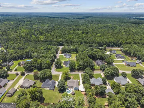 View/Area - 218 Willow Ridge Ln, Jackson, GA 30233 photo 4 of 7