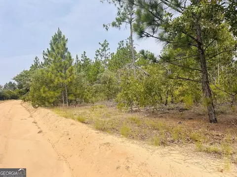 375 Village Ln, Mauk, GA 31058