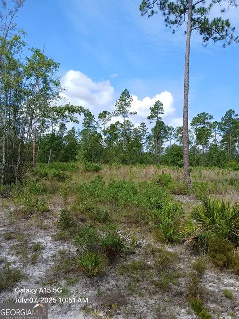 883 Okefenokee Club Rd, Folkston, GA 31537