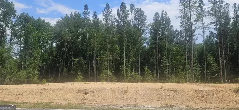 lot Apt 1 County Line Rd, Mitchell, GA 30820