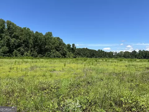 lot4 Cleary Rd, Brooklet, GA 30415