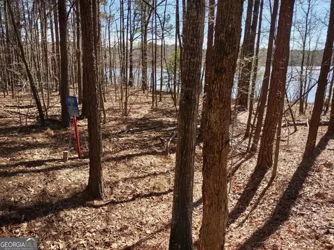 0 Panhandle Rd #LOT 1, Hampton, GA 30228 photo 17