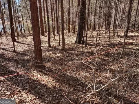 0 Panhandle Rd #LOT 1, Hampton, GA 30228 photo 21