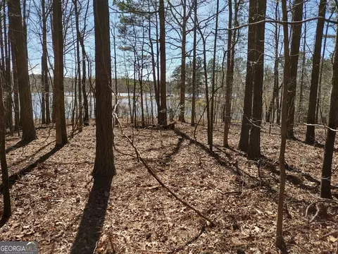 0 Panhandle Rd #LOT 1, Hampton, GA 30228 photo 23