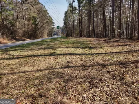 0 Panhandle Rd #LOT 1, Hampton, GA 30228 photo 12