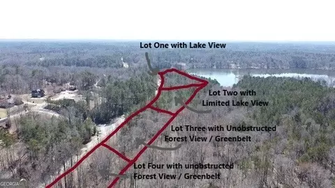 0 Panhandle Rd #LOT 1, Hampton, GA 30228 photo 7