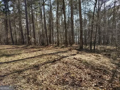 0 Panhandle Rd #LOT 1, Hampton, GA 30228 photo 19