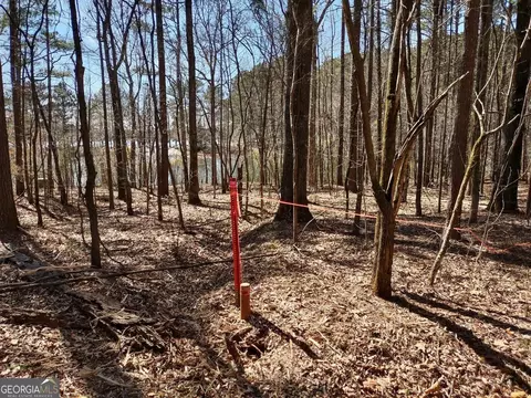 0 Panhandle Rd #LOT 1, Hampton, GA 30228 photo 24