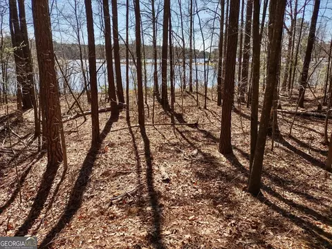 0 Panhandle Rd #LOT 1, Hampton, GA 30228 photo 16