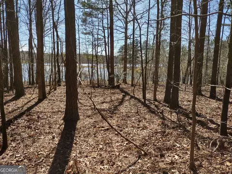 0 Panhandle Rd #LOT 2, Hampton, GA 30228 photo 23