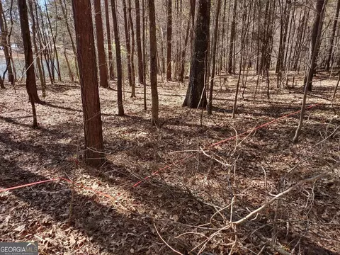 0 Panhandle Rd #LOT 2, Hampton, GA 30228 photo 21