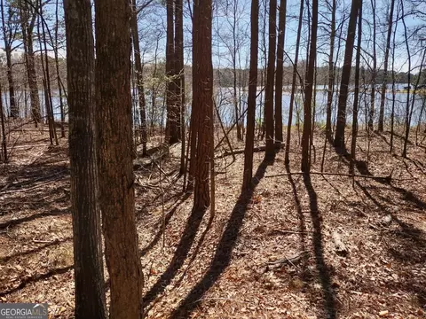 0 Panhandle Rd #LOT 2, Hampton, GA 30228 photo 22