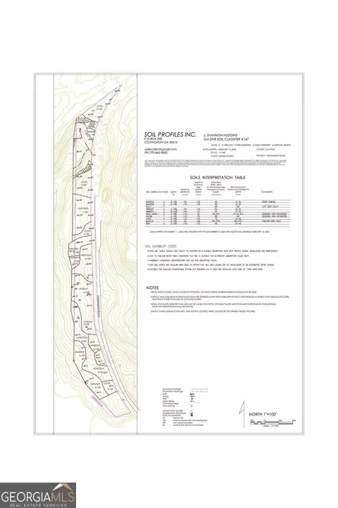 0 Panhandle Rd #LOT 2, Hampton, GA 30228 photo 31