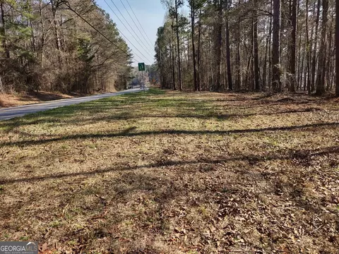 0 Panhandle Rd #LOT 2, Hampton, GA 30228 photo 12